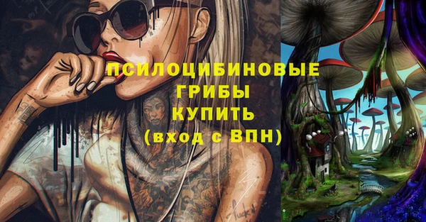 бошки Армянск