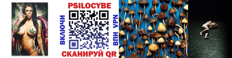 Псилоцибиновые грибы мицелий  где продают   Райчихинск 